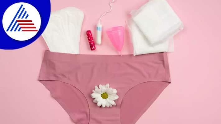 Period Panties, Are They Better Than Sanitary Pads And Tampons Vin Period Panties, Are They Better Than Sanitary Pads And Tampons Vin