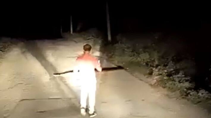 giant snake on road in forest road video goes viral apa giant snake on road in forest road video goes viral apa