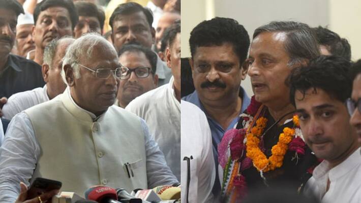 KN Tripathi's nomination was rejected. Shashitharur and Mallikarjun Kharge are the only Congress chiefs. KN Tripathi's nomination was rejected. Shashitharur and Mallikarjun Kharge are the only Congress chiefs.