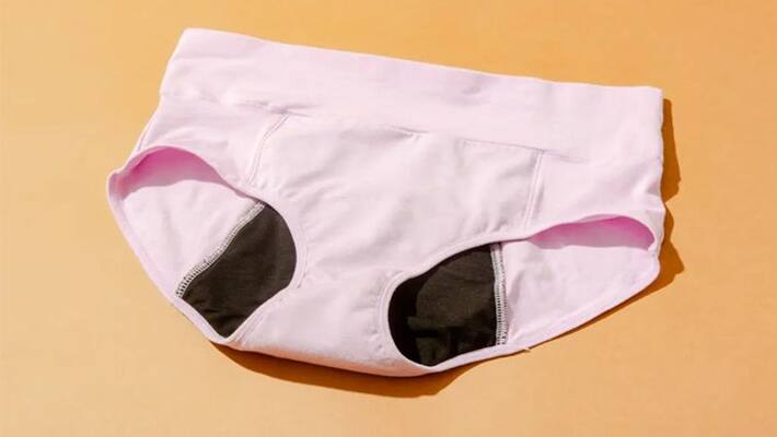 What are the period panties, know it's advantages and disadvantages and how to use it dva What are the period panties, know it's advantages and disadvantages and how to use it dva