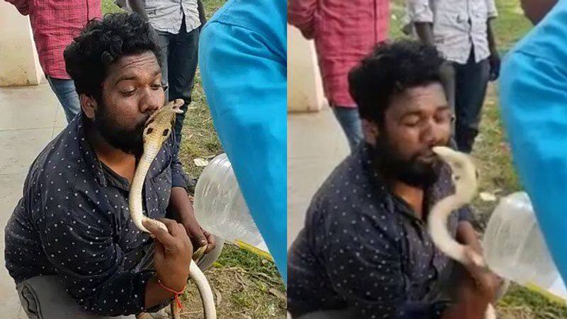 Cobra bites snake catcher lips in Karnataka