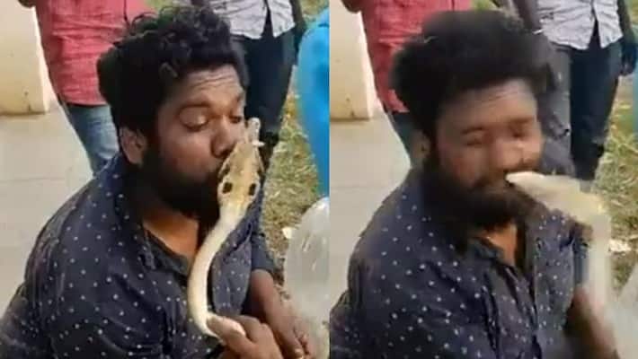 Man tries to kiss cobra after rescuing it in Karnataka gets bitten vva Man tries to kiss cobra after rescuing it in Karnataka gets bitten vva