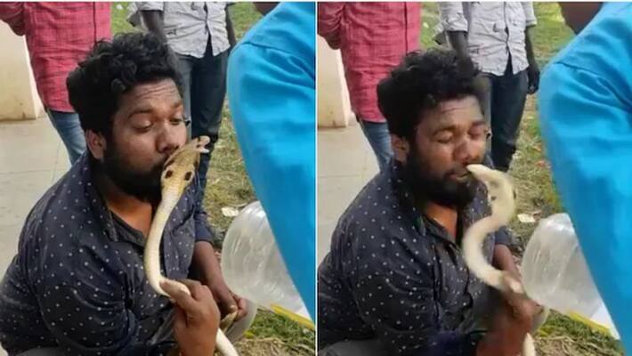 Snake bites Karnataka man on lips after he tries to kiss Snake bites Karnataka man on lips after he tries to kiss