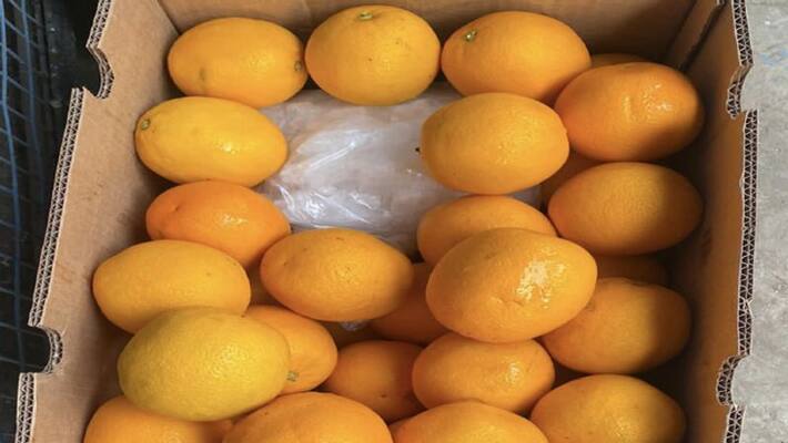 mumbai drugs worth Rs 1476 crore hidden in cartons of oranges seized in mumbai drugs worth Rs 1476 crore hidden in cartons of oranges seized in