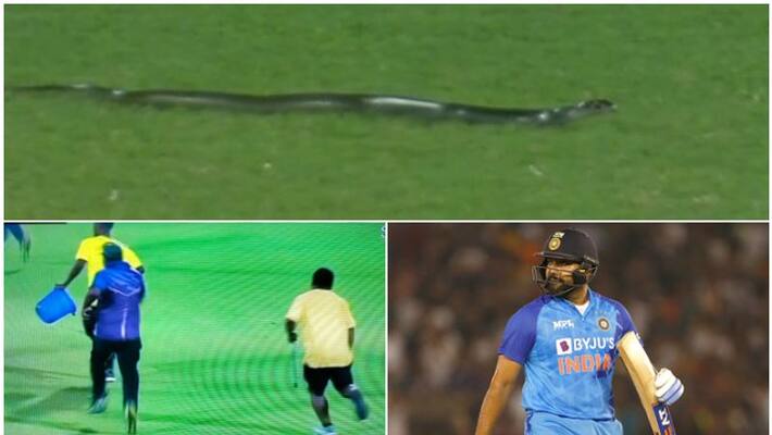 Snake stops play in IND vs SA 2nd T20I Snake stops play in IND vs SA 2nd T20I