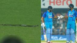 Snake Enters in Guwahati Stadium During IND vs SA 2nd T20I, Video went Viral 