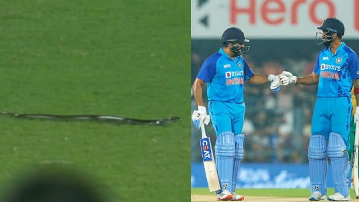 Snake Enters in Guwahati Stadium During IND vs SA 2nd T20I, Video went Viral Snake Enters in Guwahati Stadium During IND vs SA 2nd T20I, Video went Viral