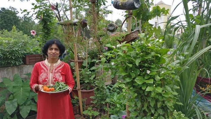 A woman from Pune doing gardening without soil on her terrace dva A woman from Pune doing gardening without soil on her terrace dva