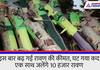 Rajasthan Muslim family is making an effigy of Ravana in Jaipur see video KPZ