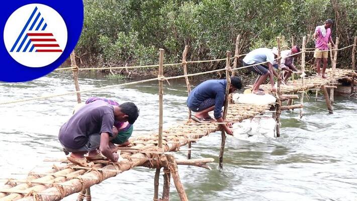 chikkamagaluru villagers built a makeshift bridge across the tunga river gvd chikkamagaluru villagers built a makeshift bridge across the tunga river gvd