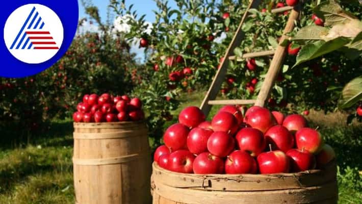 Health Tips: What are the Benefits of Organic Produce Vin Health Tips: What are the Benefits of Organic Produce Vin