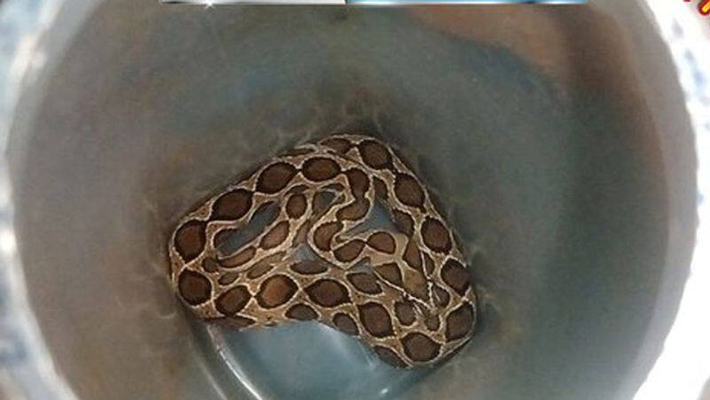 woman comes for treatment with snake bite in rasipuram government hospital 