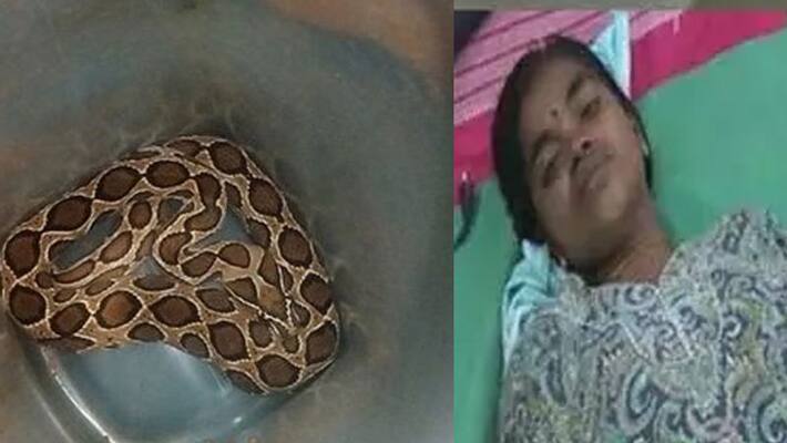 woman comes for treatment with snake bite in rasipuram government hospital woman comes for treatment with snake bite in rasipuram government hospital