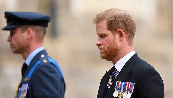 prince harry snubbed prince william's peace effort prince harry snubbed prince william's peace effort