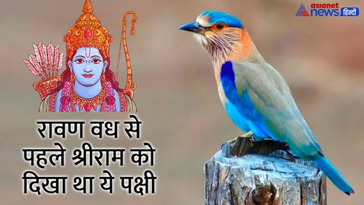 Dussehra 2022 Vijaya Dashami 2022 Dussehra 2022 Dussehra Beliefs Dussehra Traditions Nilkanth Darshan on Dussehra MMA Dussehra 2022 Vijaya Dashami 2022 Dussehra 2022 Dussehra Beliefs Dussehra Traditions Nilkanth Darshan on Dussehra MMA