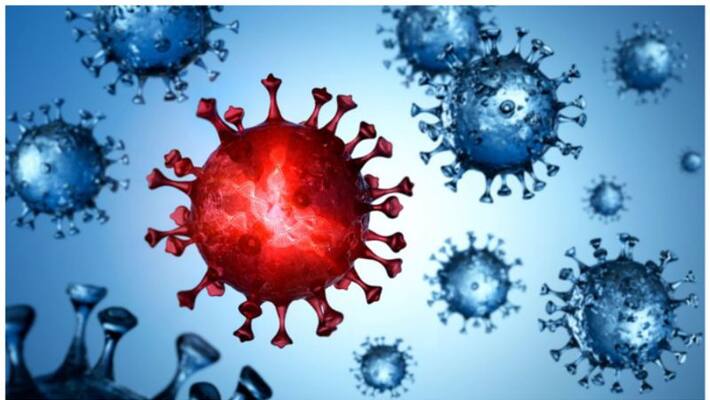coronavirus formation modelled for first time may lead to effective drugs coronavirus formation modelled for first time may lead to effective drugs