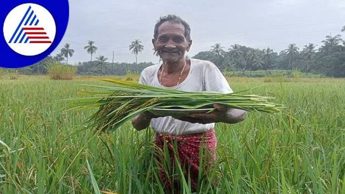 Christian Who Gave Paddy to Hindu Festival in Udupi grg Christian Who Gave Paddy to Hindu Festival in Udupi grg