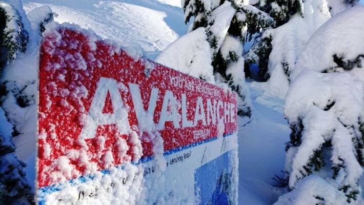 Uttarkashi avalanche: Five more bodies brought back to camp in Matli; snowfall hinders search operation AJR Uttarkashi avalanche: Five more bodies brought back to camp in Matli; snowfall hinders search operation AJR