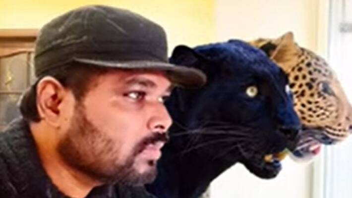 Andhra doctor appeals to India government to rescue his pet jaguar and panther from Ukraine Andhra doctor appeals to India government to rescue his pet jaguar and panther from Ukraine