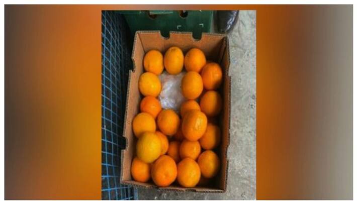 1470 crore drug smuggling under the guise of orange import 1470 crore drug smuggling under the guise of orange import