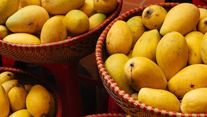compensation Assure to mango Farmers snr compensation Assure to mango Farmers snr