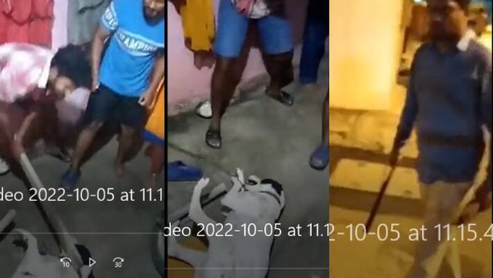 three arrested for mercilessly beating a dog at Bengaluru three arrested for mercilessly beating a dog at Bengaluru