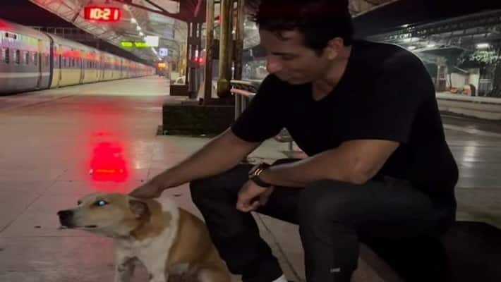 sonu sood requested his social media followers show some love whenever they come across stray dogs apa sonu sood requested his social media followers show some love whenever they come across stray dogs apa