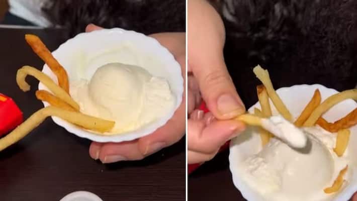food vlogger eats fries with ice cream food vlogger eats fries with ice cream