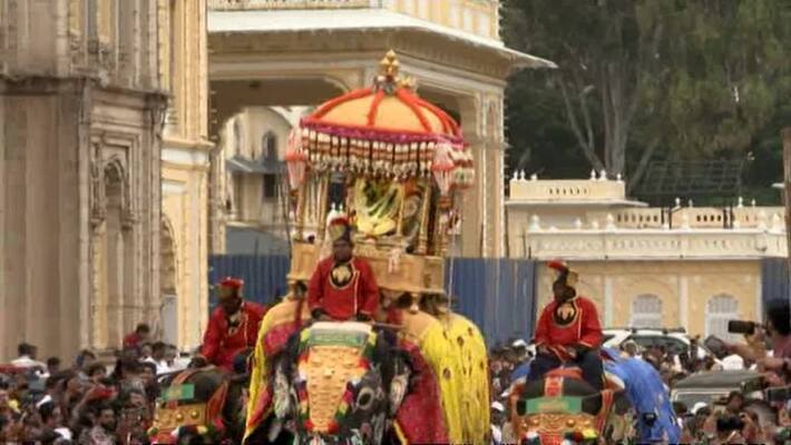 Forest Department responsible For Ambari Tying on Elephant snr Forest Department responsible For Ambari Tying on Elephant snr