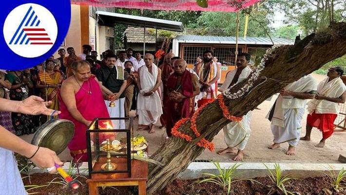 Shami Tree Worship Held at Kadiyali Mahisha Mardhini Temple in Udupi grg Shami Tree Worship Held at Kadiyali Mahisha Mardhini Temple in Udupi grg