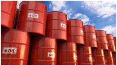 Russian oil supplies to 'friendly' India have increased 22 times