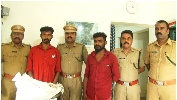 forest department arrested two people who caught porcupine in idukki forest department arrested two people who caught porcupine in idukki