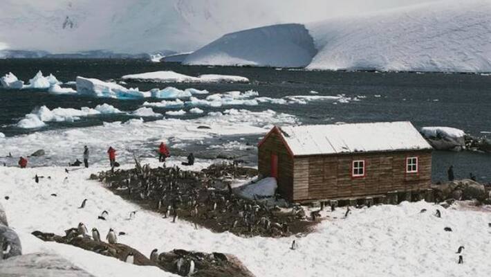 Four women selected for unusual job in Antarctica including running post office and counting penguin Four women selected for unusual job in Antarctica including running post office and counting penguin