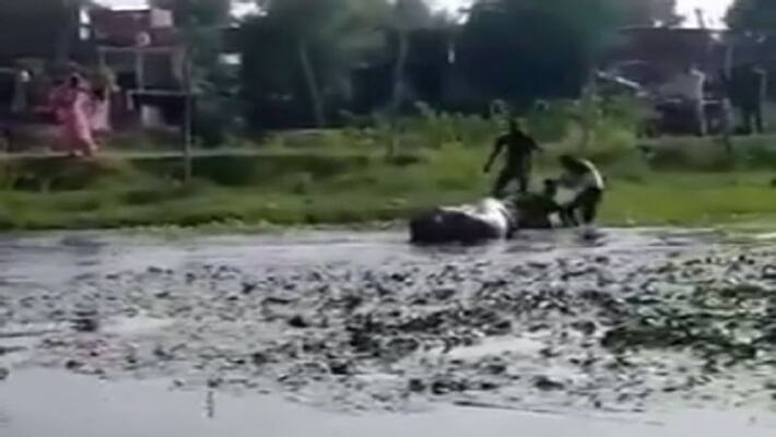 After drowning in pond women were beaten up and then dragged on road video of havoc of bullies in Lucknow went viral After drowning in pond women were beaten up and then dragged on road video of havoc of bullies in Lucknow went viral