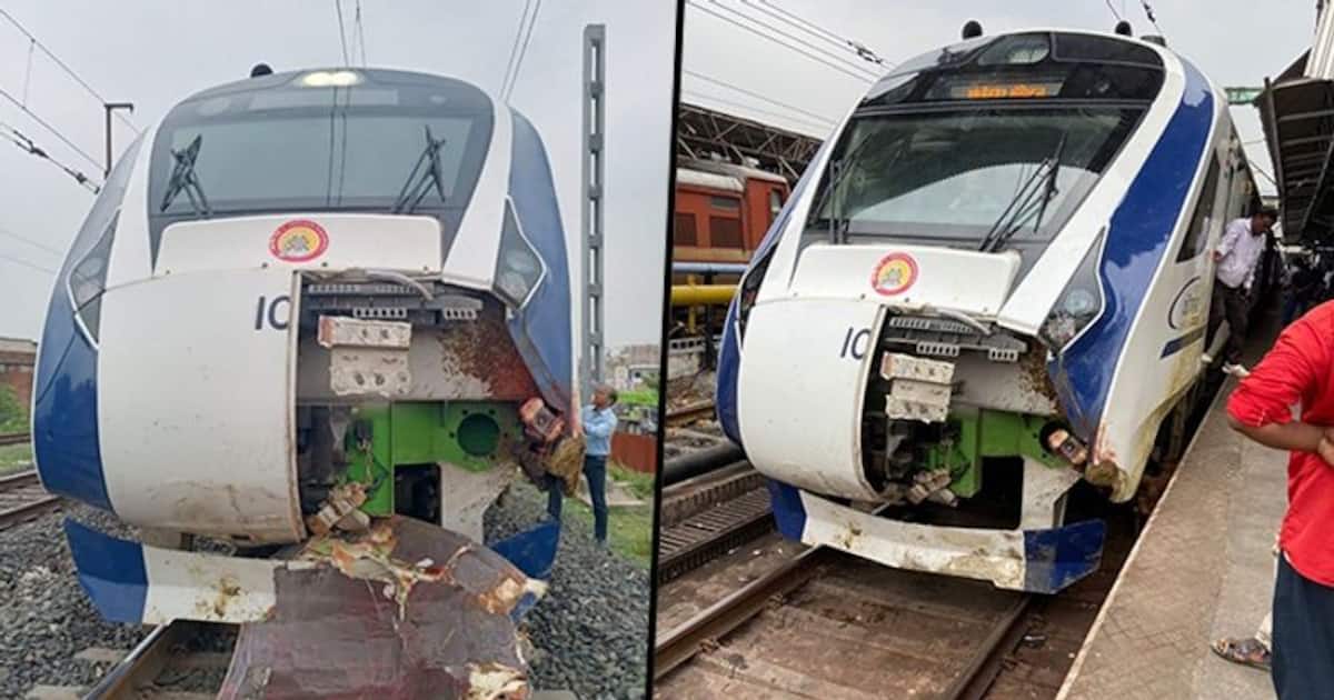 Vande Bharat Express: Mumbai-Gandhinagar train suffers damage after hitting buffalo herd