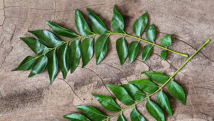 magnificence of curry leaves that are set aside while eating magnificence of curry leaves that are set aside while eating