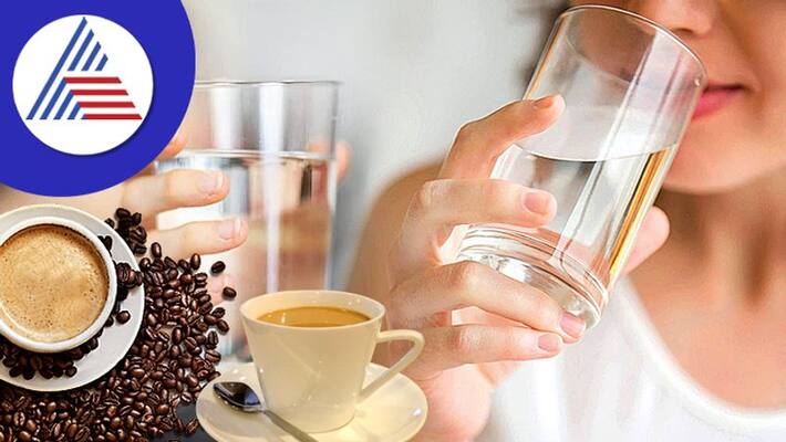 Should You Drink Water Before Tea Or Coffee On an Empty Stomach In The Morning Vin Should You Drink Water Before Tea Or Coffee On an Empty Stomach In The Morning Vin