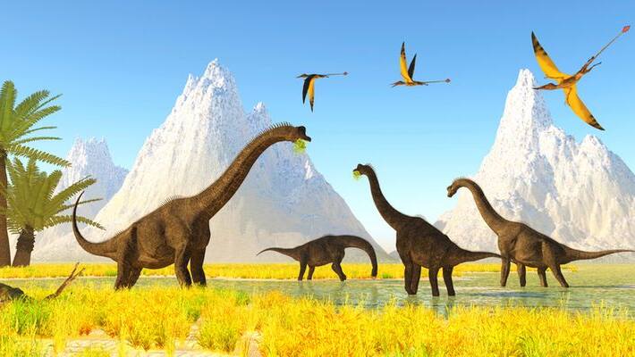 Cat sized reptile fossils found in Scotland Cat sized reptile fossils found in Scotland