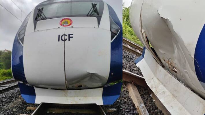 gandhinagar mumbai vande bharat express hits cow gandhinagar mumbai vande bharat express hits cow