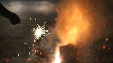 Environmentalists welcome hazardous fireworks ban snr Environmentalists welcome hazardous fireworks ban snr