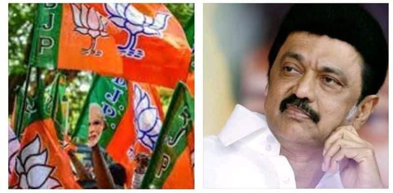 Subramanian Samy has said that Tamil Nadu BJP is like a cat that is scared of Stalin roar