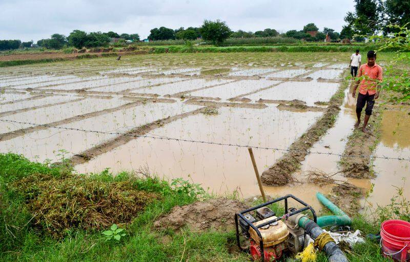 Anbumani demands compensation for rain affected farmers