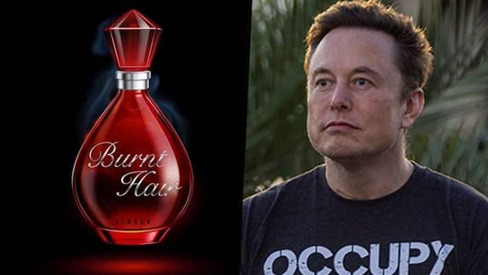 Elon Musk turns 'perfume salesman', showcases 'Burnt Hair'; Here is how much it costs AJR Elon Musk turns 'perfume salesman', showcases 'Burnt Hair'; Here is how much it costs AJR