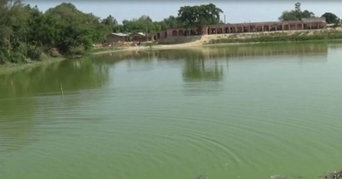 திண்டுக்கல்லில் பிறந்து சில நாட்களேயான பெண் குழந்தை குளத்தில் வீச்சு; காவல்துறை விசாரணை