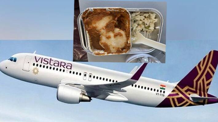 Cockroach in Air Vistara meal: Passenger's tweet goes viral; What did the airline company say Cockroach in Air Vistara meal: Passenger's tweet goes viral; What did the airline company say
