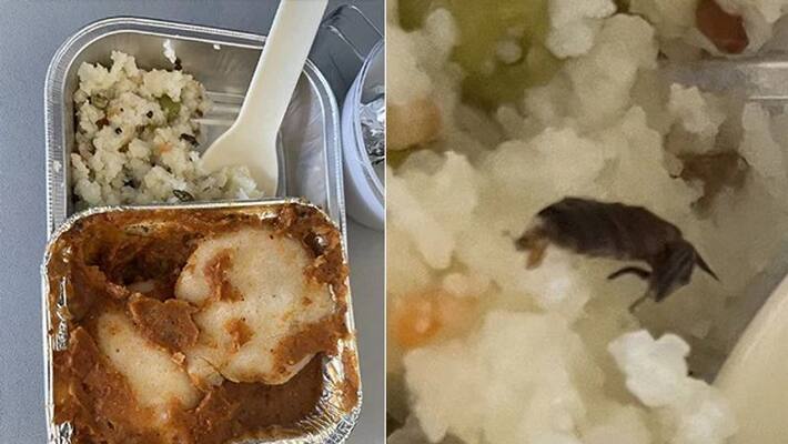 Cockroach in the food served on the plane.. Terrible shock for the passenger. Cockroach in the food served on the plane.. Terrible shock for the passenger.