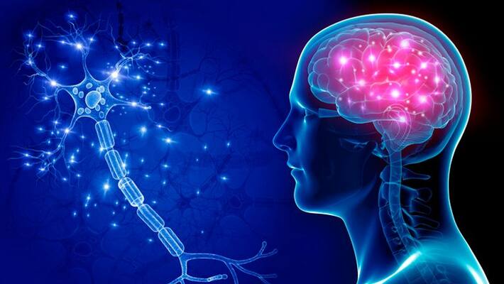 brain mapping test centre opens in bengaluru fsl in madivala ash brain mapping test centre opens in bengaluru fsl in madivala ash
