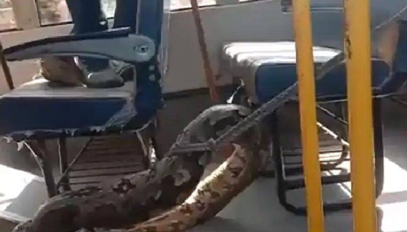 Massive python takes shelter in school bus in UP Raebareli
