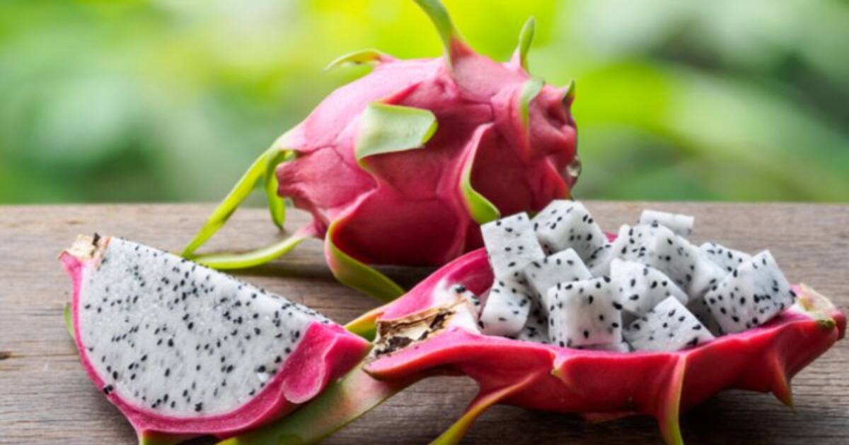 வாரம் ஒரு தடவை டிராகன் பழம் சாப்பிட்டால், உடம்புக்கு அளவில்லா நன்மைகள்.. மிஸ் பண்ணாதீங்க! 