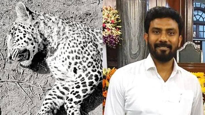 Theni MP ravindranath has been summoned by the Forest Department in death of a leopard caught in an electric fence Theni MP ravindranath has been summoned by the Forest Department in death of a leopard caught in an electric fence